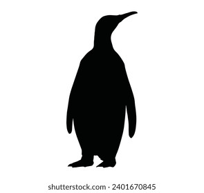 African Penguin Logo Design Icon. Penguin Design Inspiration. 