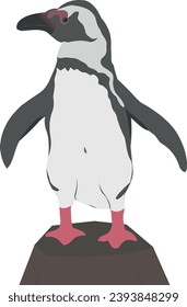 African penguin Magellanic Humboldt Galapagos. Cute small animal. Vector graphics. Aquatic flightless bird.