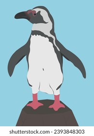 African penguin Magellanic Humboldt Galapagos. Cute small animal. Vector graphics. Aquatic flightless bird.