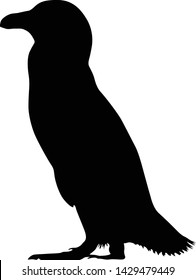 African Penguin Silhouette Vector Style