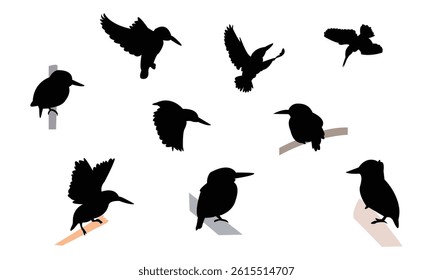 African pygmy kingfisher bird Silhouette Design  And Vector Illustration. 