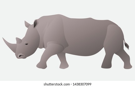 African rhino isolated on white background graphic vector