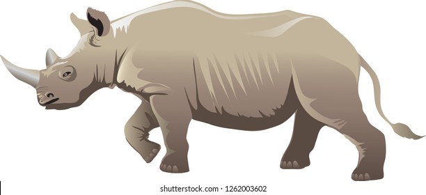 African Rhino, Rhinoceros African Wild Life Animal - Vector Illustration