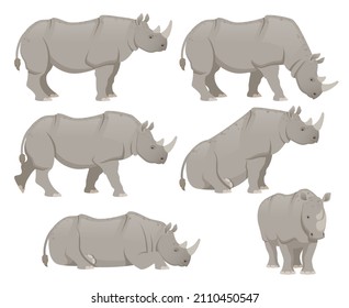 African rhinoceros set. Different poses animal design. Vector illustration isolated on white background