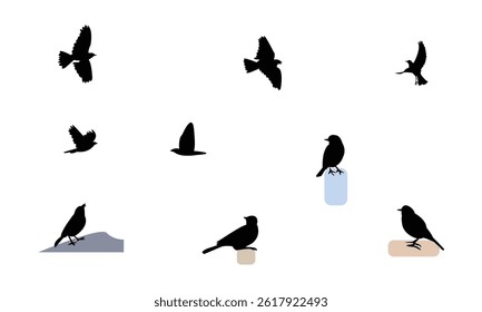 African rock pipit bird Silhouette Design  And Vector Illustration. 
