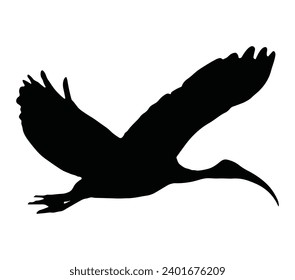 African sacred ibis silhouette. Vector illustration.