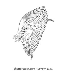 The African sacred ibis (Threskiornis aethiopicus). Flying bird. Line drawing. Black and white illustration. Vector.
