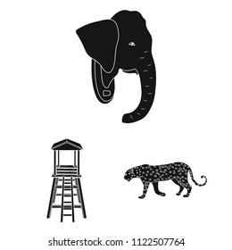 African Safari black icons in set collection for design. Trophies and equipment for Safari vector symbol stock web illustration.