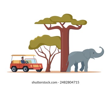 African safari. Man in jeep drive through African savannah and look at tropical and exotic animals. Tourists watching elephants. Vector