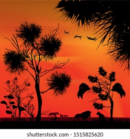 African safari nature with silhouettes of african wild lions animals at red sunset. Savannah trees and grass. Realistic landscape. Vector illustration Art