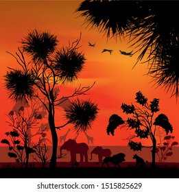 African safari nature with silhouettes of african wild lions elephants and giraffes animals at red sunset. Savannah trees and grass. Realistic landscape. Vector illustration Art