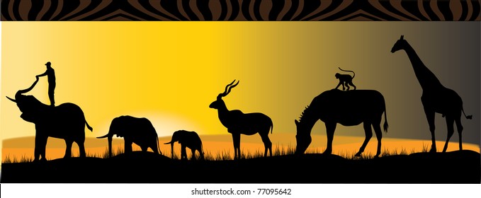 african safari with six different african animals in the sunset