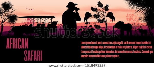 African safari traveler photograper with silhouettes\
of african wild lions elephants animals at pink sunrise or sunset.\
Car in African savannah. Realistic horizon landscape. Vector\
illustration Art