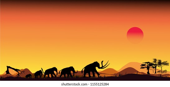 African safari wildlife animals.Elephant, giraffes, zebra and lion on the savannah at sunset.safari theme.