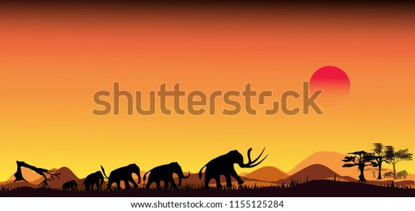African safari wildlife animals.Elephant, giraffes, zebra and lion on the savannah at sunset.safari theme.