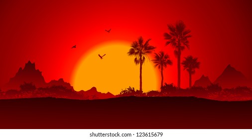 African savanna