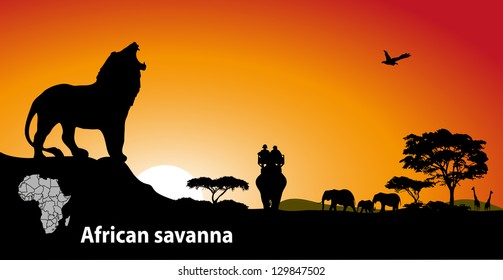 African savanna