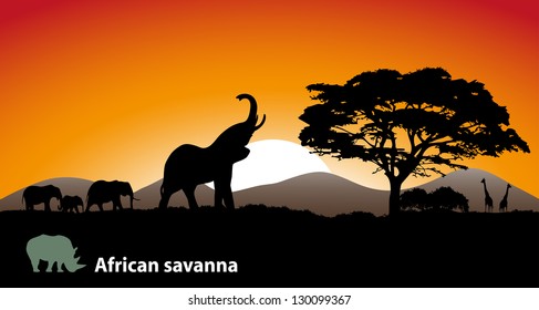 African savanna