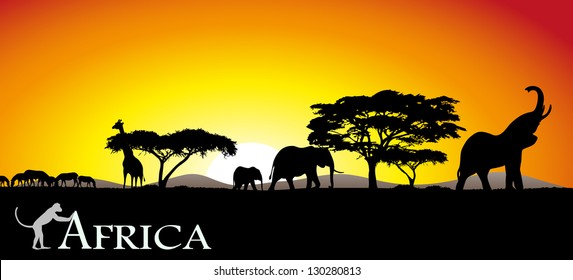 African savanna