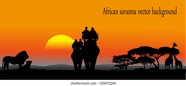 African savanna