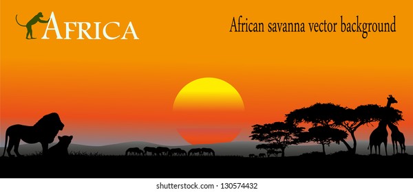 African savanna