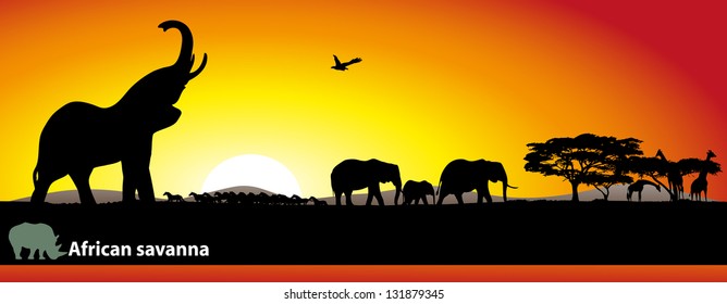 African savanna