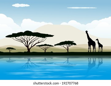 African savanna