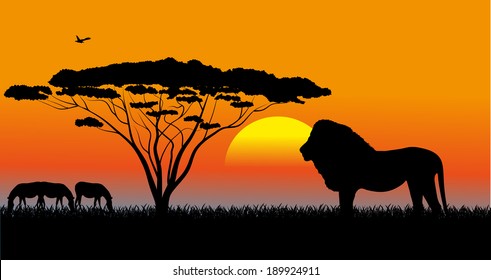 African savanna an evening landscape 