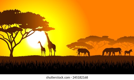 Colorful Sunset Scene African Landscape Silhouette Stock Vector ...