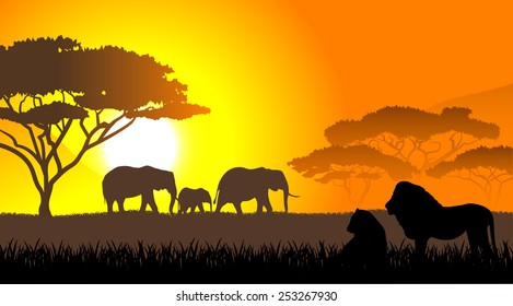 African savanna an evening landscape