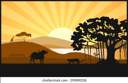 African savanna an evening landscape