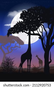 African savanna giraffe silhouette. Landscape. Africa. Bright vector illustration. Wildlife. Night.
