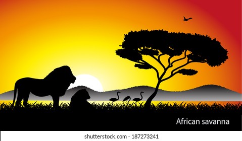 African savanna landscape