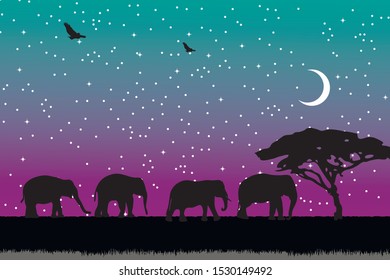 African savanna landscape. Wild animals in National park. Safari travel concept.