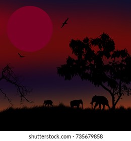 African savanna with silhouette of elephants at red sunset, vector illustration
