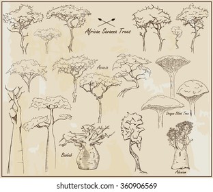 African Savanna Trees, Exotic Trees, Set Of Different Hand Drawn Trees