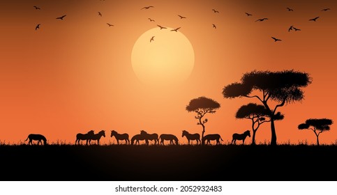 African savanna. Zebra. Vector illustration