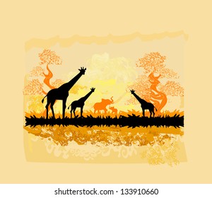African savannah