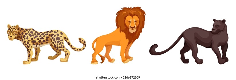 African savannah animals set. Carnivorous mammals, cat families. Cartoon vector graphics.