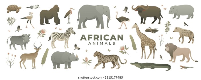 African savannah animals set. Modern vector illustration of safari wildlife. Wild animal collection isolated on white background. Elephant, giraffe, zebra, leopard, lion, gorilla, crocodile.