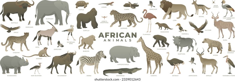 African savannah animals set. Modern vector illustration of safari wildlife. Including lion, elephant, giraffe, cheetah, zebra, leopard, flamingo. Wild animal collection isolated on white background.