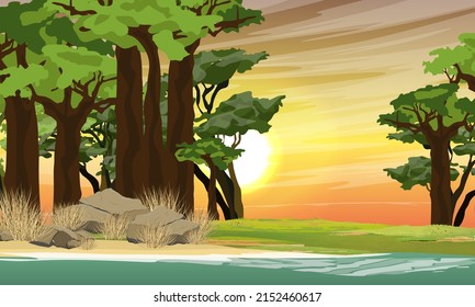 African savannah. Baobab grove on the shore of a pond at sunset. wildlife of africa. Realistic vector landscape