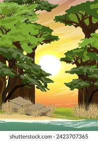 African savannah. Baobab grove on the shore of a pond at sunset. wildlife of africa. Realistic vector vertical landscape