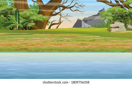 African savannah. Bush on the shore of a lake or river. Vector landscape