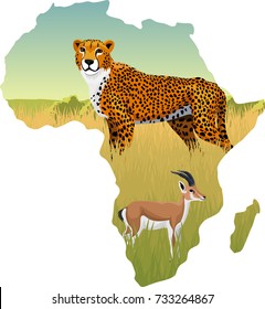 African savannah with cheetah and  persian gazelle impala - vector illustration