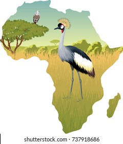 African savannah with crowned crane and eagle vulture - vector illustration