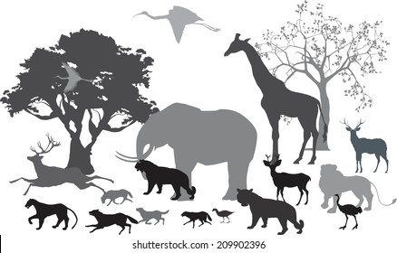 African savannah and differnt animals silhouettes