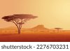 african landscape