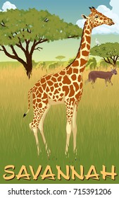 African savannah with giraffe, heron and caracal - vector illustration