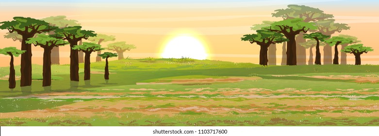 African savannah. Grass, acacia and baobab trees. Realistic vector landscape. The nature of Africa. Reserves and national parks.